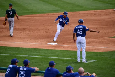 DSC_1531 (Large).JPG